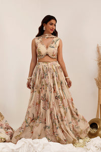 Madhaniya - Lehenga Set